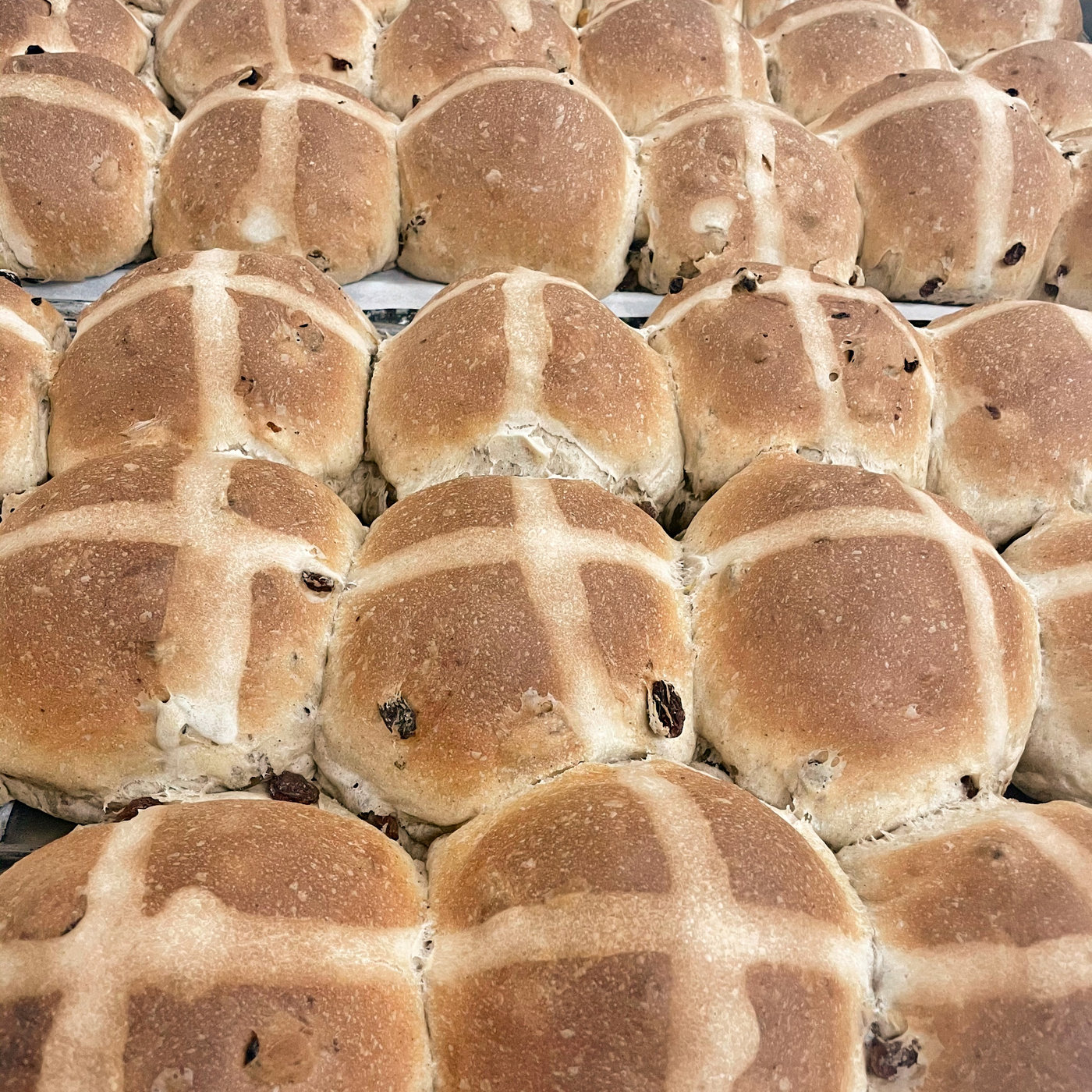 Glazed hot cross buns on a tray